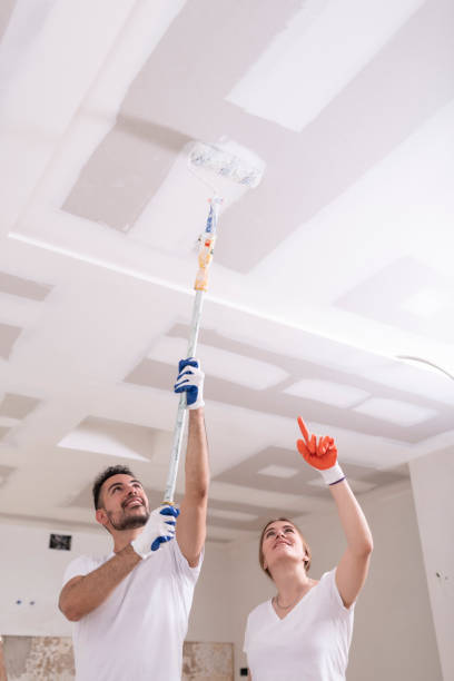 Best Drywall Sanding and Smoothing  in Gloucester Courthouse, VA